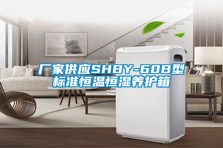 廠家供應SHBY-60B型標準恒溫恒濕養護箱